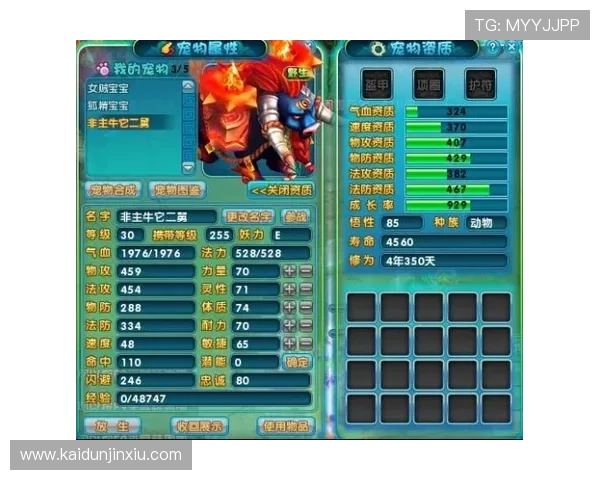 单挑牛牛：从新手到高手的实战经验分享