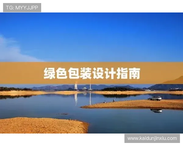 用户体验探讨：K8凯发登录下载后的使用心得与评价