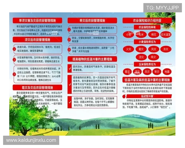 凯发体育网址如何保障用户资金安全与隐私保护的实用措施介绍 凯发体育网址如何保障用户资金安全与隐私保护的实用措施介绍