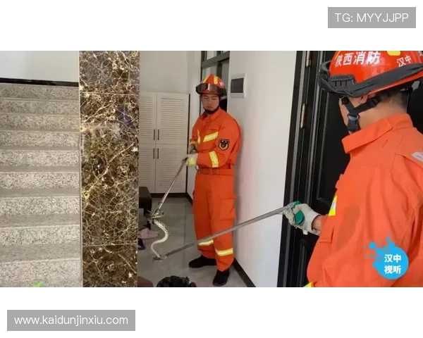 凯发线上注册平台官网安全保障措施解析确保玩家信息安全无忧